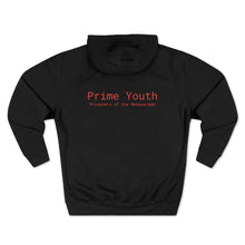 Load image into Gallery viewer, Youth Unisex Hoodie (Prisoners of the Masquerade)
